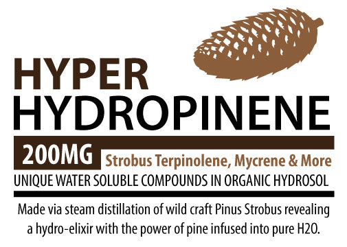 Hyper Hydropinene - White Pine